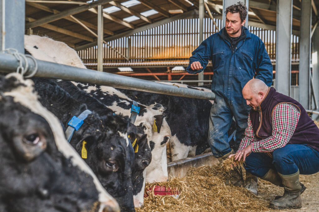 Ryan Lincoln of Lovewell Blake Chartered Accounts Agriculture Department in conservation with a client on a farm in Suffolk - Norfolk Farming Photography