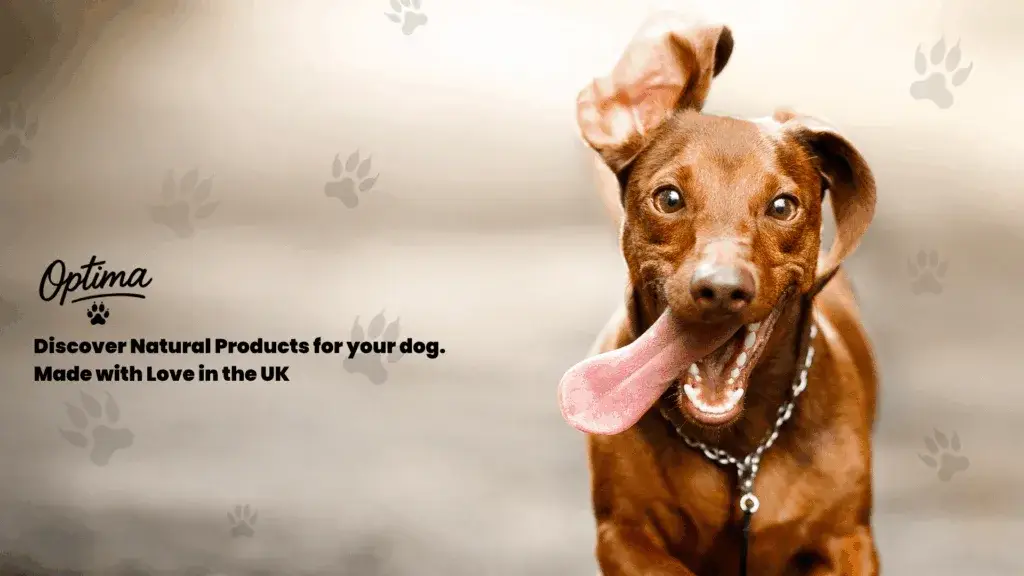 Natural Dog Products from Optima Canine Clinic