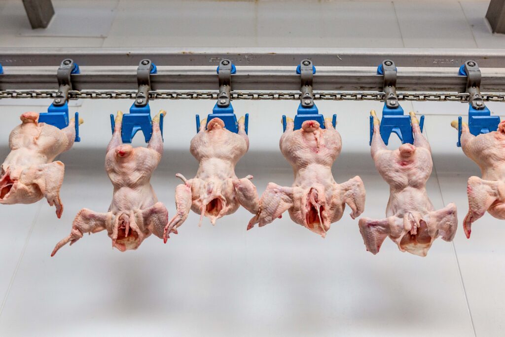 Industrial Photography for UK Food manufacturers. BVlanc Creative specialise in all types of industrial images.